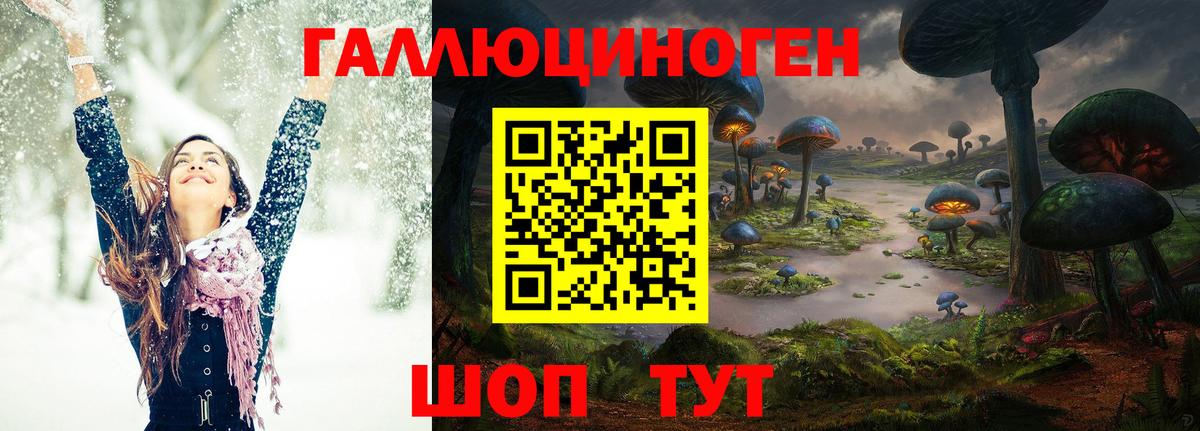 Галлюциногенные грибы Psilocybine cubensis  купить наркотик  Зеленодольск  Вход с VPN 