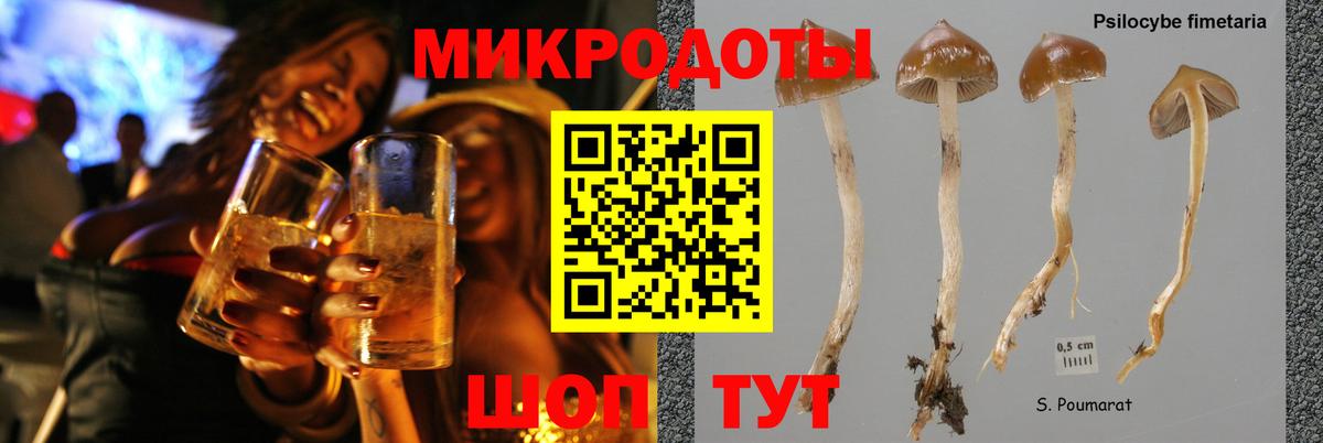 Псилоцибиновые грибы мухоморы Зеленодольск